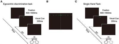 Leftward Deviation and Asymmetric Speed of Egocentric Judgment between Left and Right Visual Fields